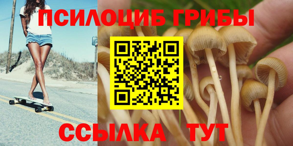продажа наркотиков  Галлюциногенные грибы мухоморы  Вход с VPN  Великий Новгород 